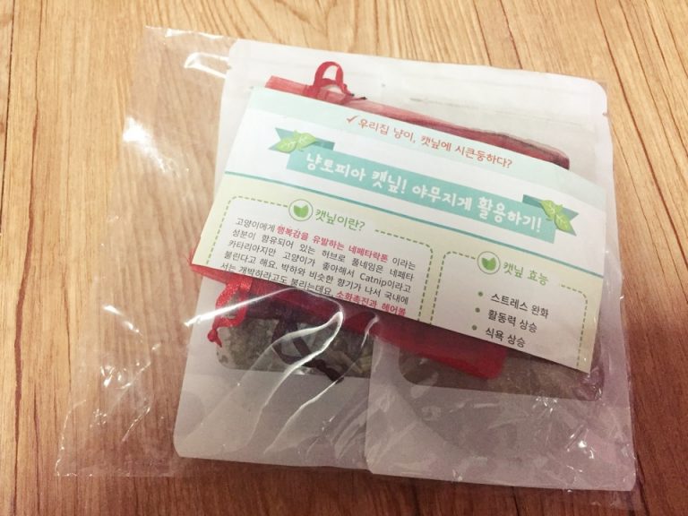 KakaoTalk 20180901