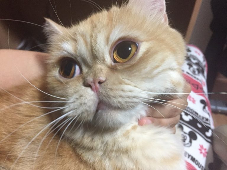 KakaoTalk 20181118