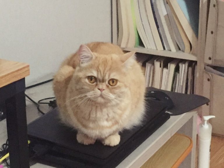 KakaoTalk 20181130