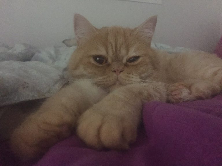 KakaoTalk 20190618