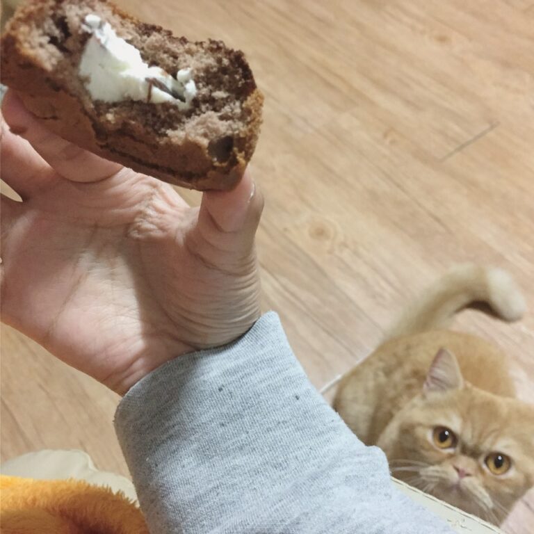 KakaoTalk 20191029