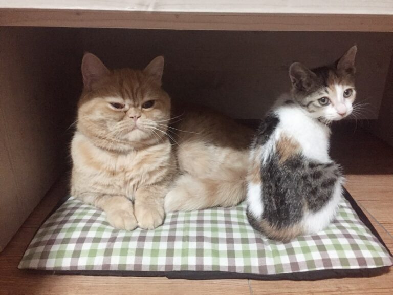 KakaoTalk 20191107